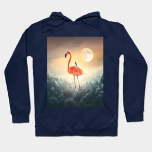 Flamingo and the blue bird Hoodie